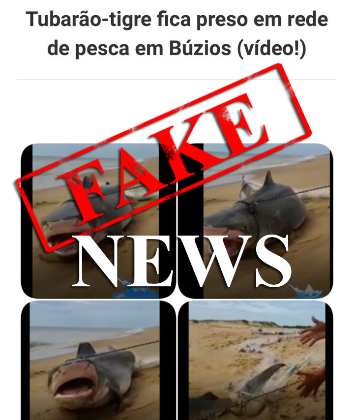 Fake News Tubarão