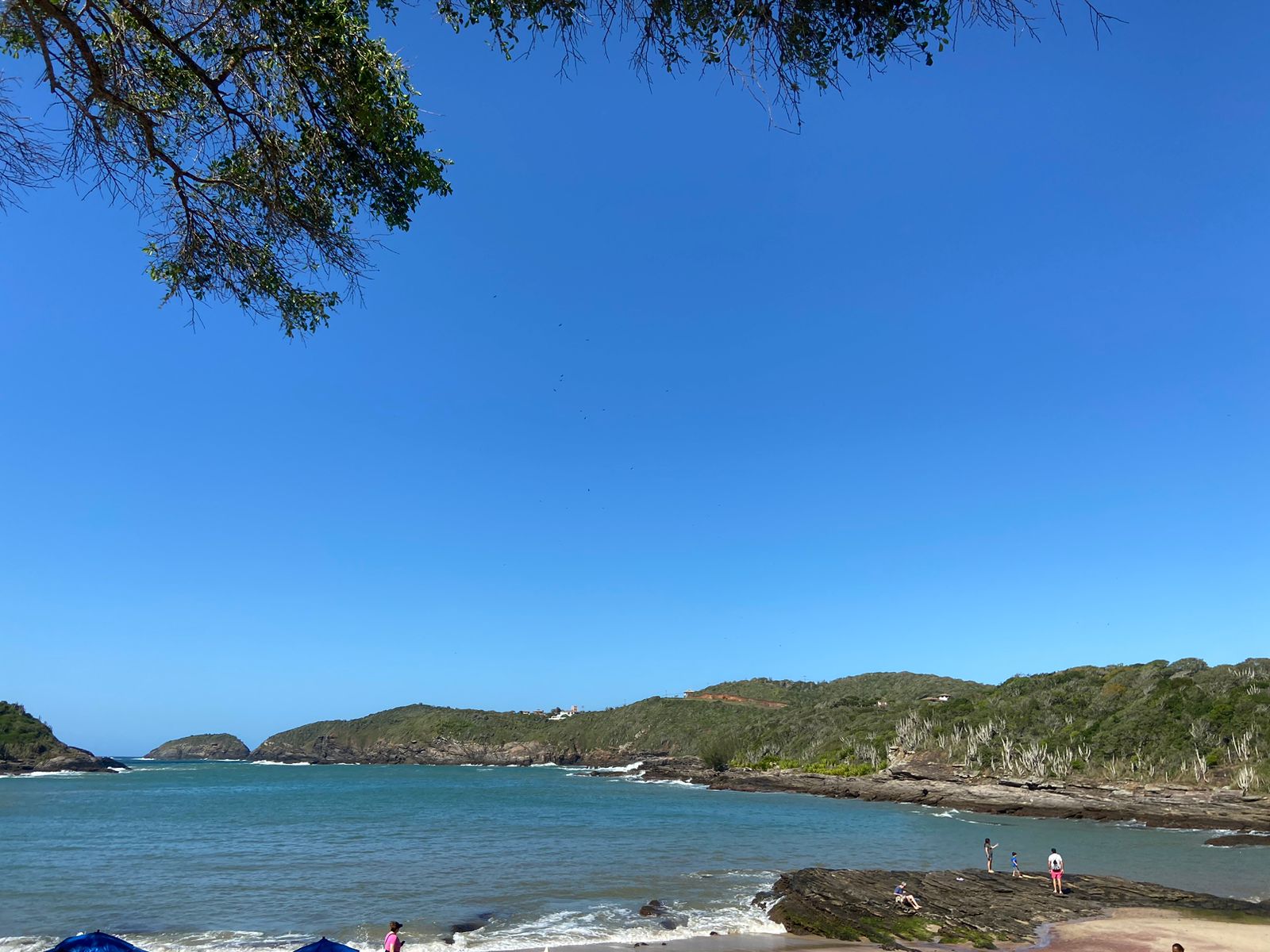 Litoral do Paraná terá ações do Dia de Limpeza em diversos praias