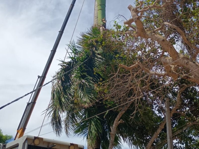 0d10e1d5-4a47-4e21-8405-36fcae3c0c1e