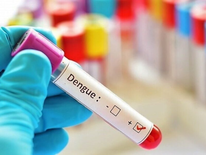 20200212101549_dengue