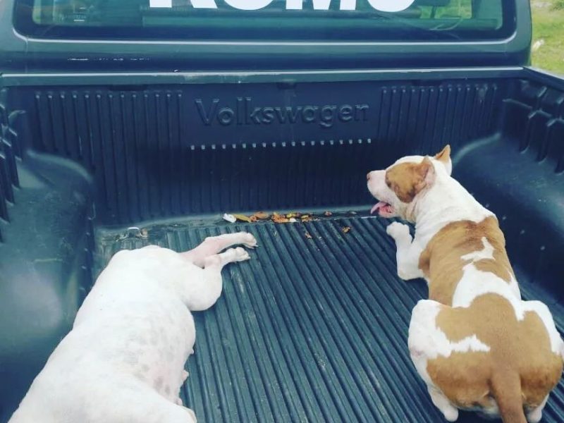 310231942_489554823214705_8110679874429008064_n