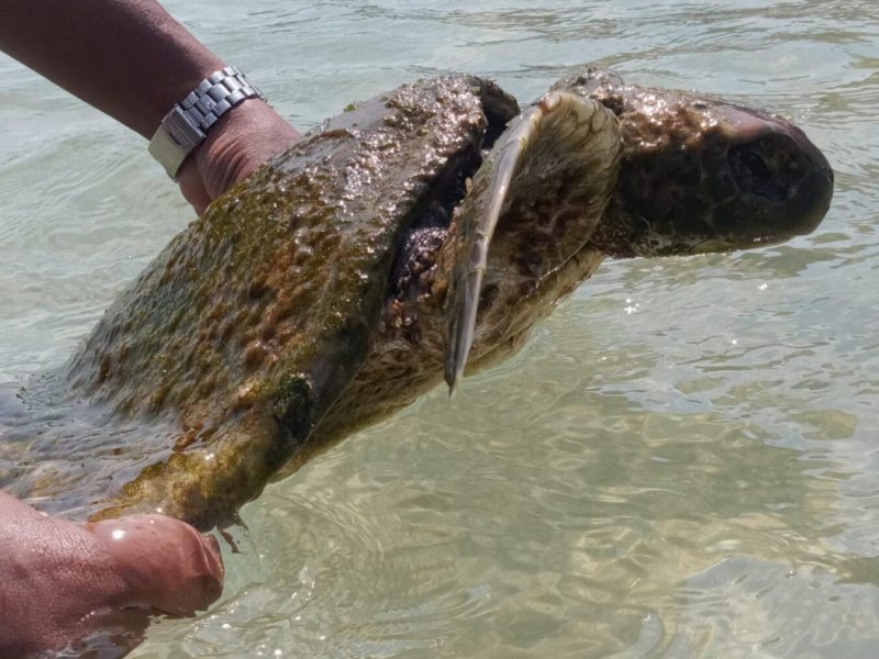 311611440_415281074122915_8354215972811858962_n