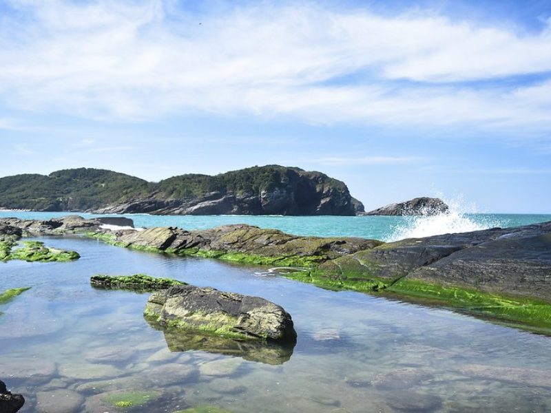 48706194806_84fca9af59_c