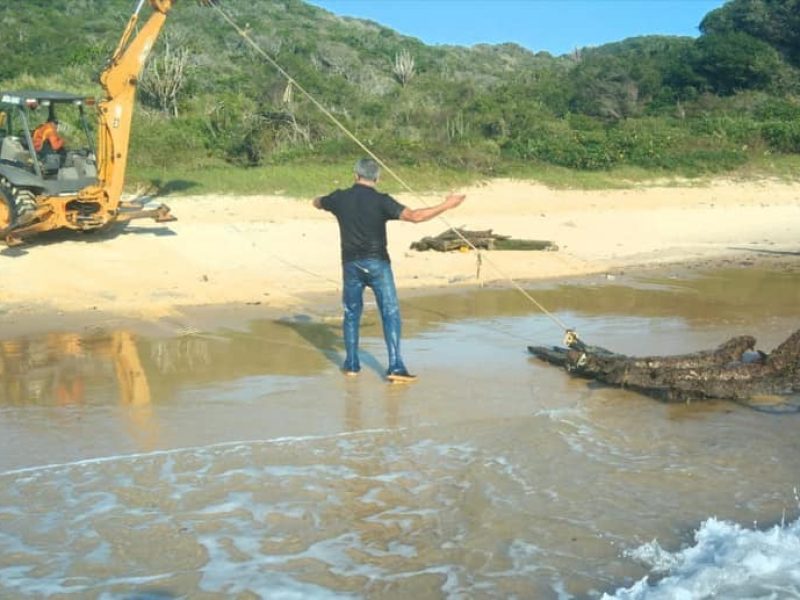 70538346_2445096355609879_4303261144136548352_n