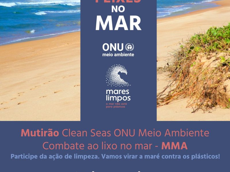 Ação-de-Limpeza_SML-01-1