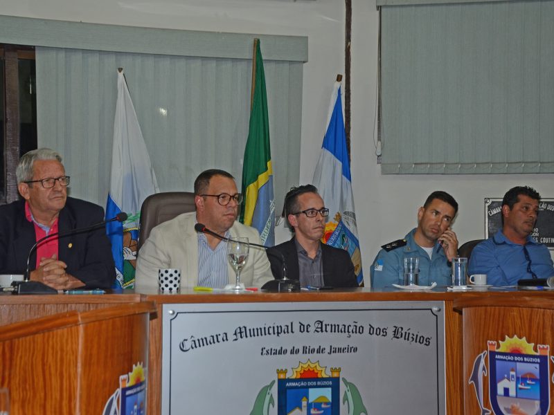 Audiencia publica segurança (176)