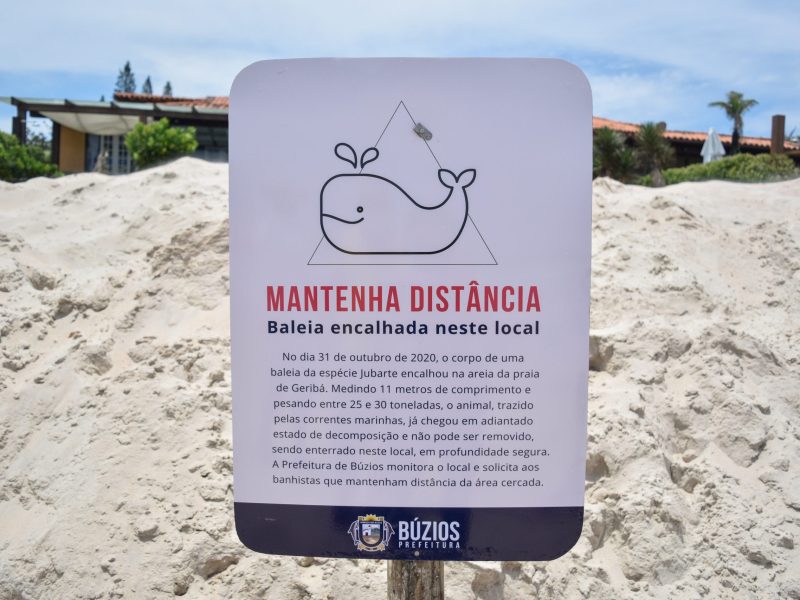 Cerca - Baleia Enterrada - Praia de Geribá - 17-11-2020 (19)