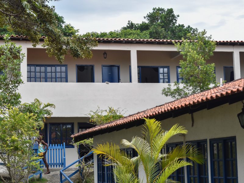 Escola da Árvore 04-02-2020 (1)