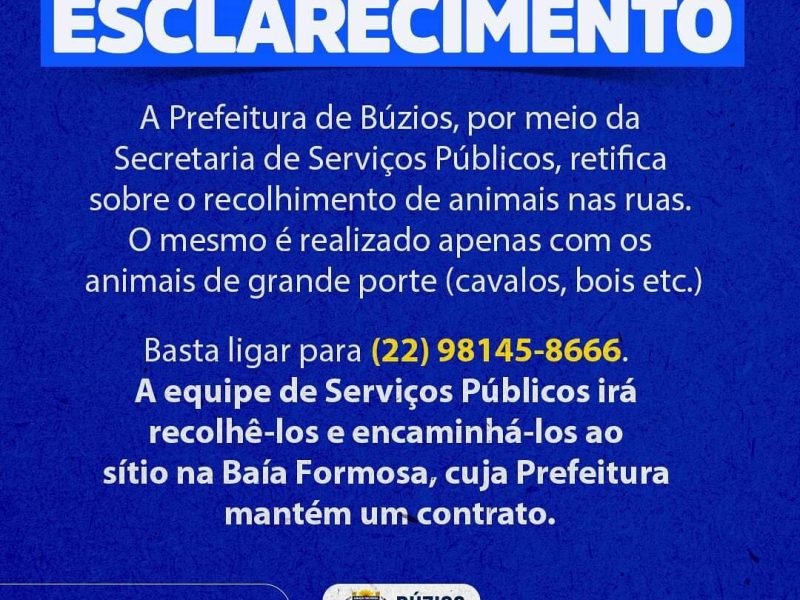 FB_IMG_1692126299809 (1)