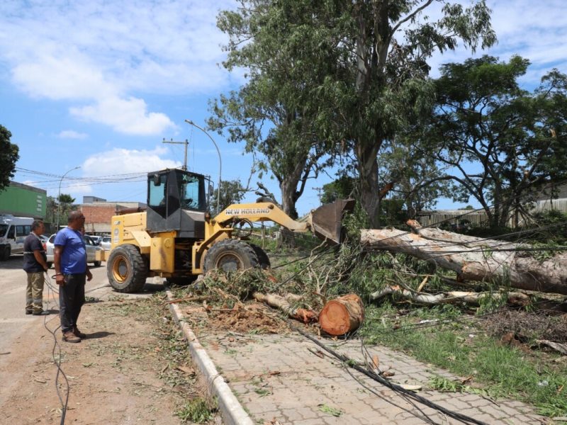 Imagem do WhatsApp de 2024-12-17 à(s) 14.45.41_07560bdd