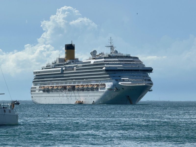 Imagem do WhatsApp de 2025-01-03 à(s) 15.42.17_d3fc38b5