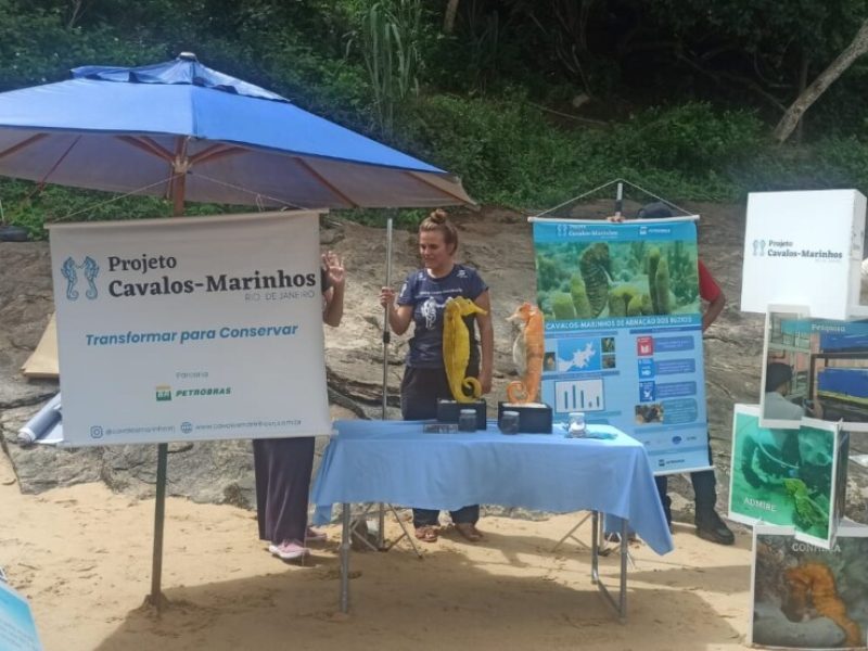 Imagem do WhatsApp de 2025-01-16 à(s) 12.01.13_0a0adc29