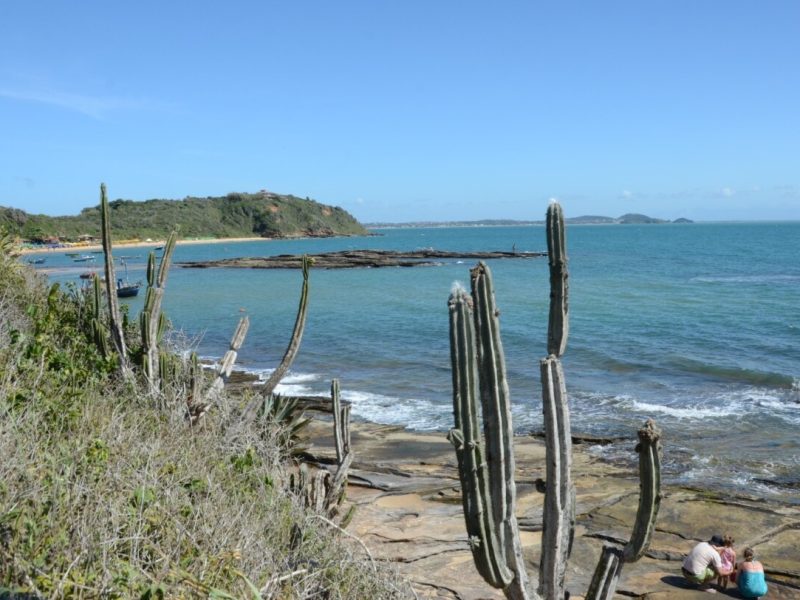 Imagem do WhatsApp de 2025-03-10 à(s) 13.51.30_92c21194