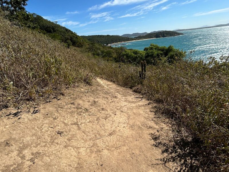 Imagem do WhatsApp de 2025-04-03 à(s) 15.27.43_fe3de46c