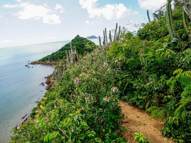 Imagem do WhatsApp de 2025-04-11 à(s) 14.14.23_0864aab1