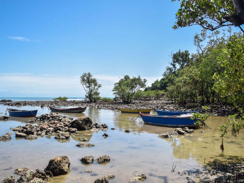 Mangue de Pedras (6)