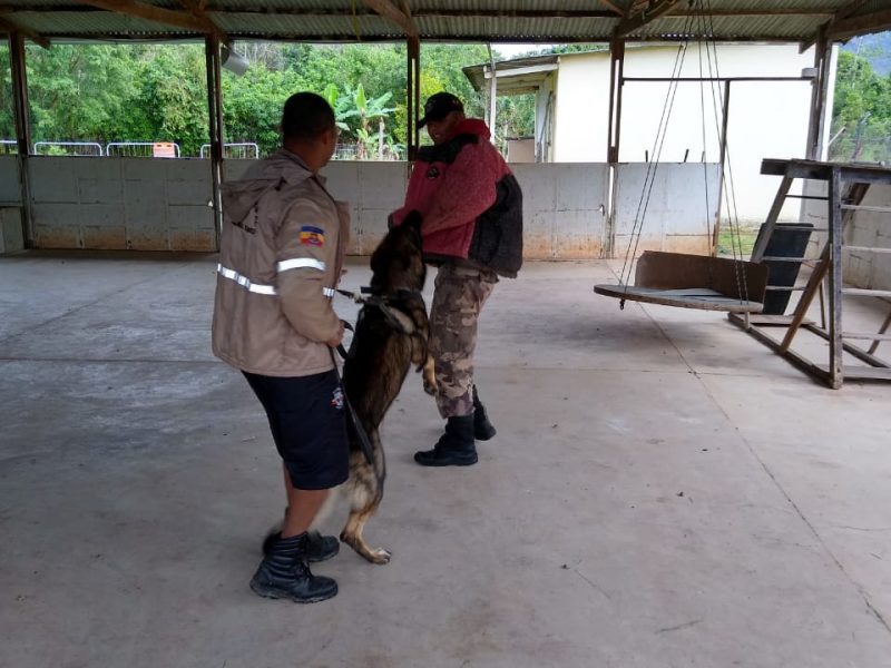 Canil Casimiro de Abreu