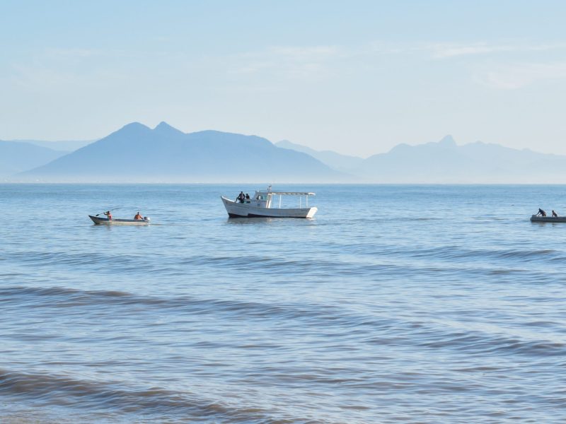 Retirada-da-Baleia-Mangue-de-Pedra-13-07-2020-15-scaled Búzios envia para a Câmara projeto de lei para plano de cargos e carreiras da GMA e Guardas Patrimoniais