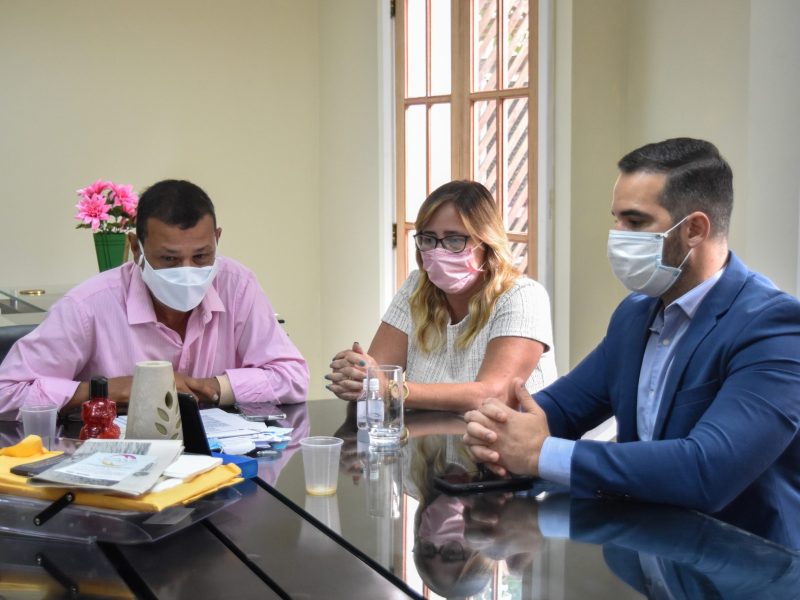 Reunião-Vídeoconferência-Fechamento-da-Cidade-HG-17-12-2020-3