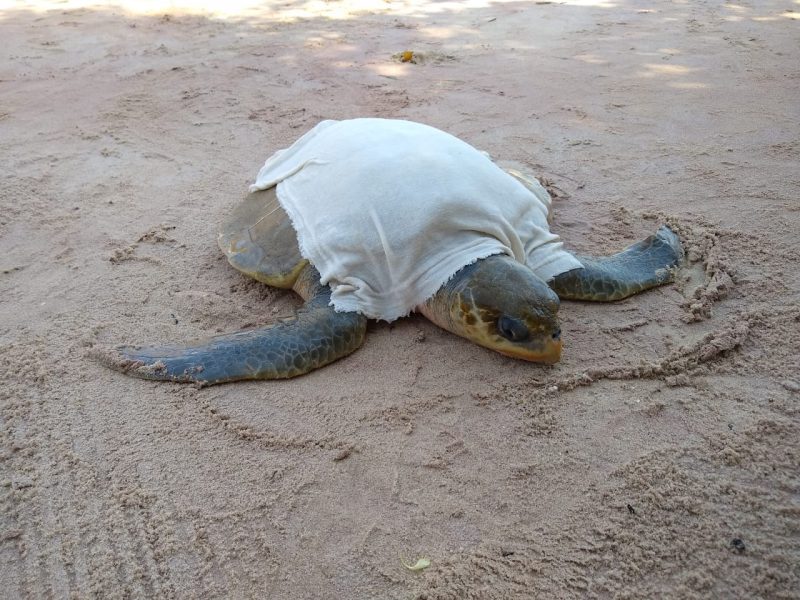 WhatsApp Image 2019-07-02 at 14.55.50