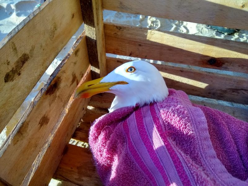 WhatsApp-Image-2019-07-11-at-11.35.18-2