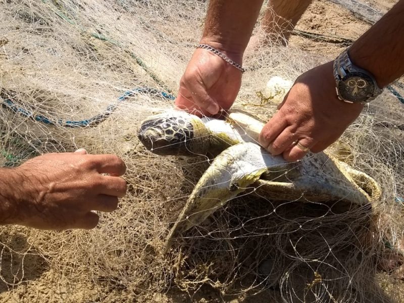 Crime ambiental praia Brava