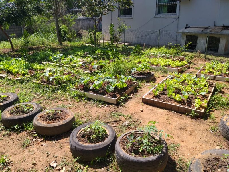 WhatsApp Image 2019-10-04 at 09.45.12