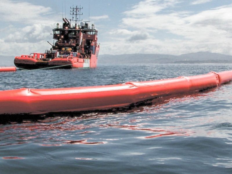 WhatsApp Image 2019-11-05 at 11.54.28