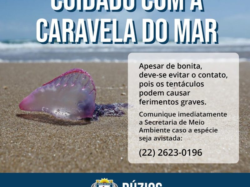 WhatsApp Image 2020-11-11 at 14.58.24