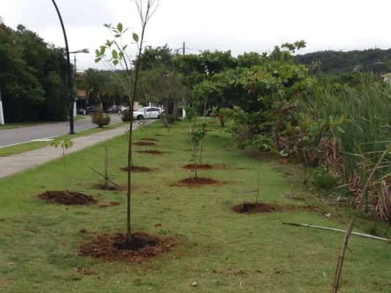 WhatsApp Image 2020-11-18 at 15.52.56