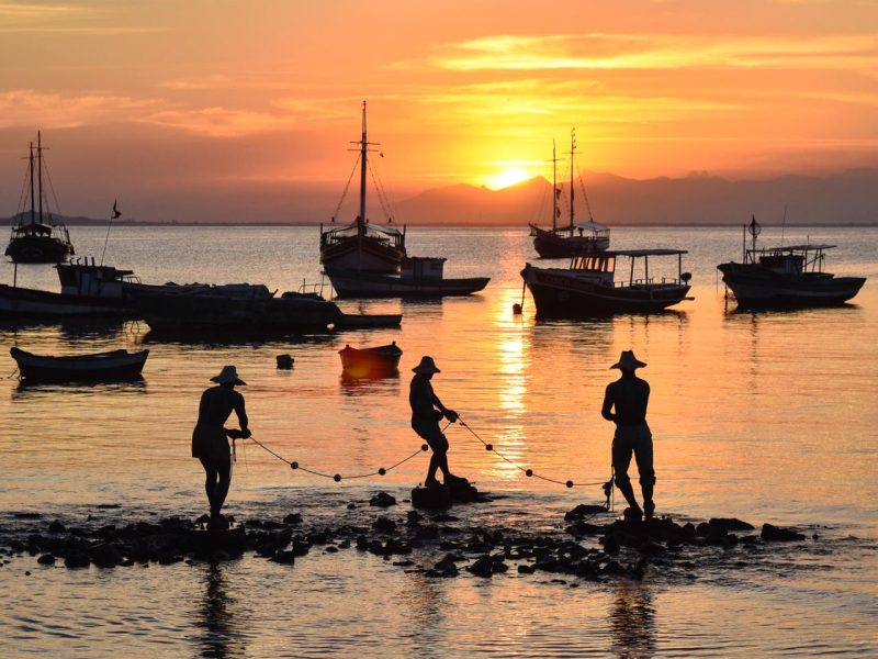 WhatsApp Image 2020-12-21 at 20.24.00 WhatsApp Image 2020-12-21 at 20.24.00