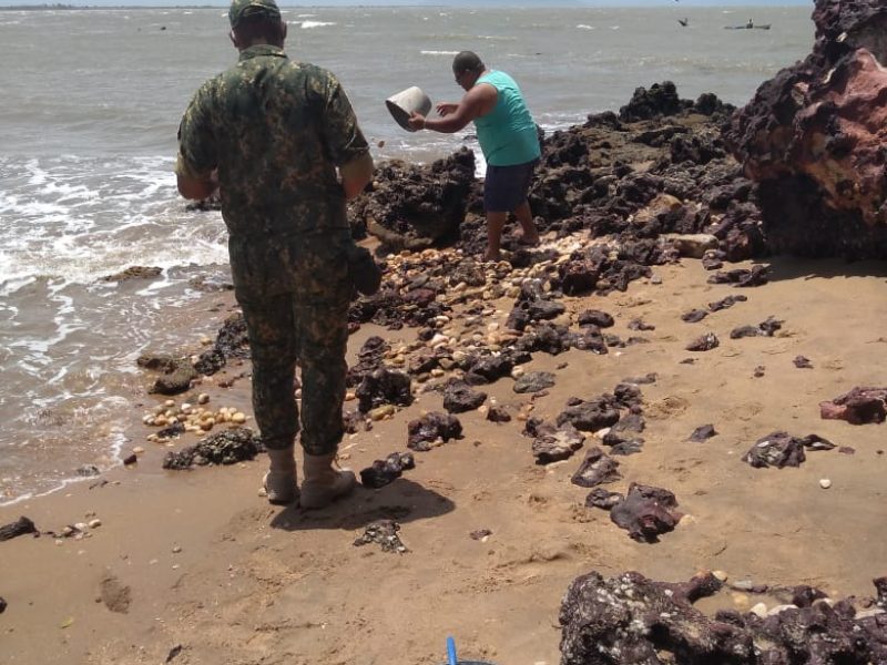 WhatsApp-Image-2021-02-02-at-17.29.46-1