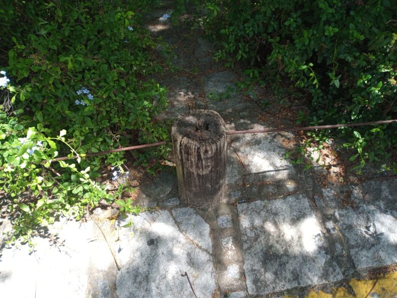 WhatsApp Image 2021-03-05 at 12.58.46 (1)