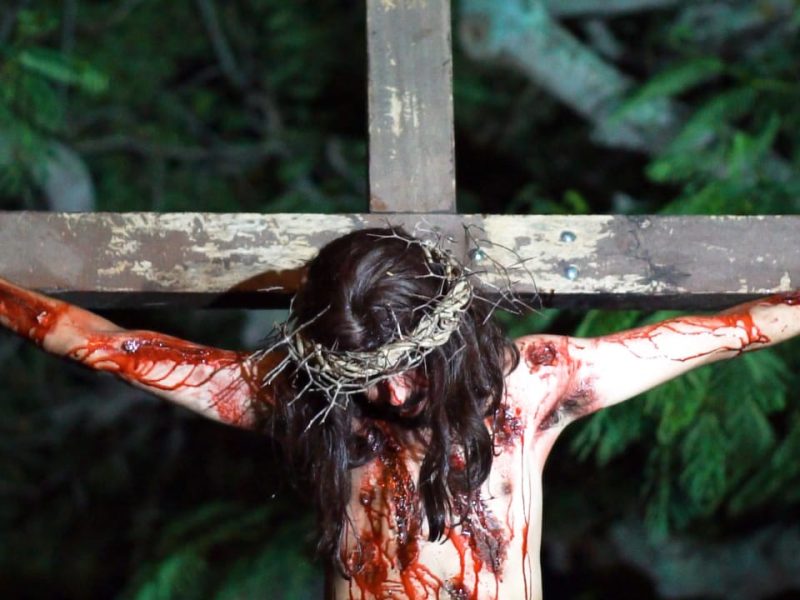 WhatsApp Image 2021-03-30 at 10.43.17