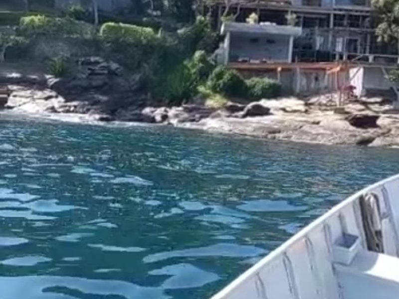 WhatsApp Image 2021-05-20 at 17.17.49