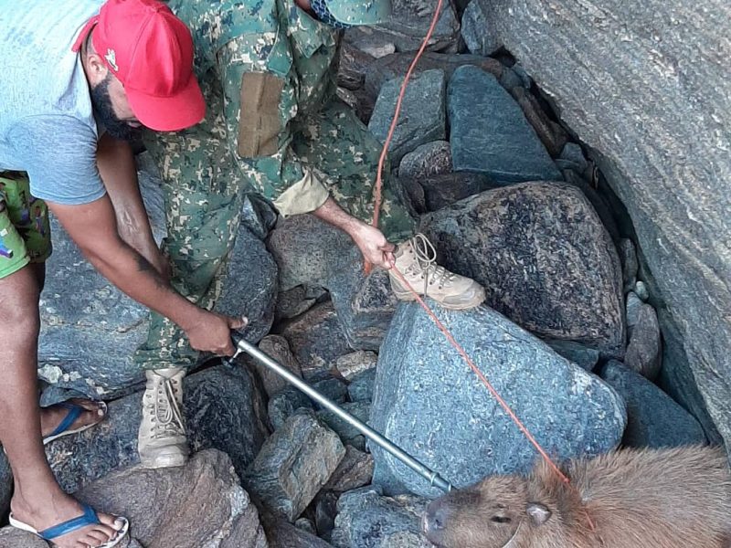 WhatsApp-Image-2021-07-13-at-14.19.11