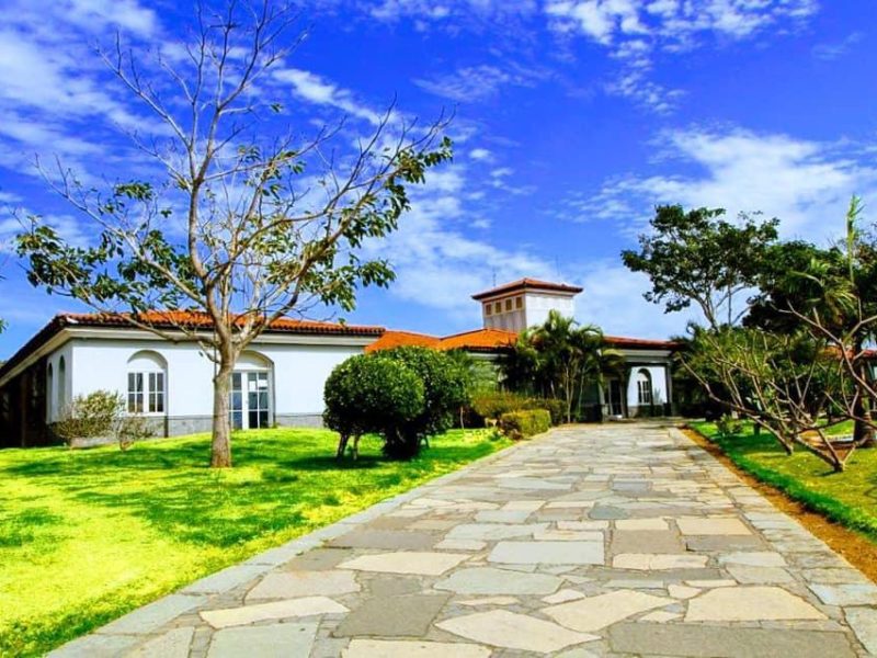 WhatsApp Image 2021-07-23 at 15.37.28