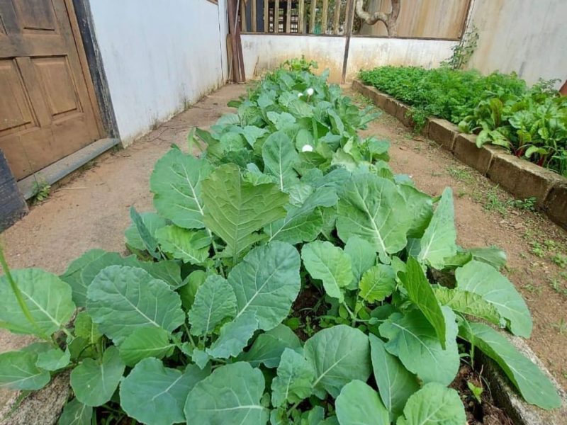 WhatsApp Image 2021-09-09 at 16.54.15 (1)