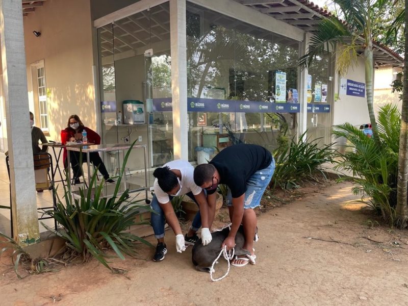 WhatsApp-Image-2021-09-25-at-17.25.53