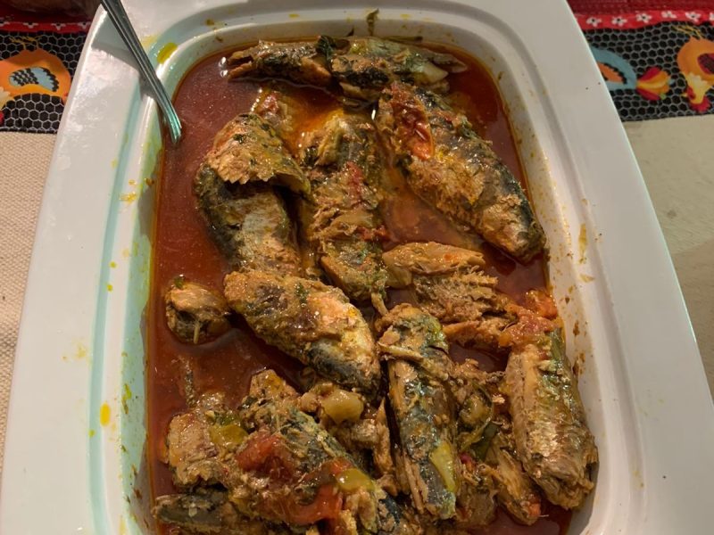 WhatsApp-Image-2021-09-25-at-17.38.08 WhatsApp-Image-2021-09-25-at-17.38.08