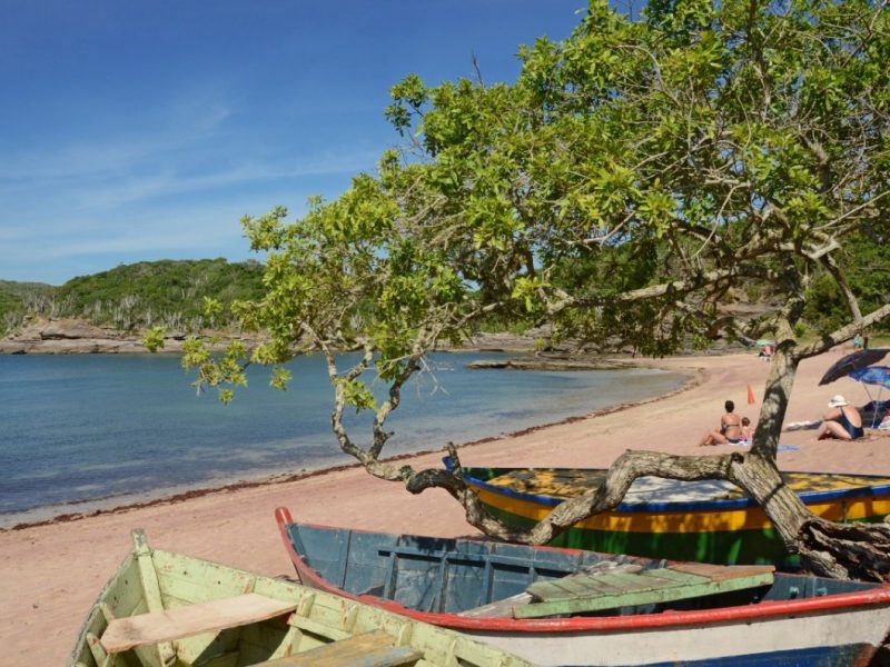 WhatsApp Image 2021-10-02 at 09.52.37