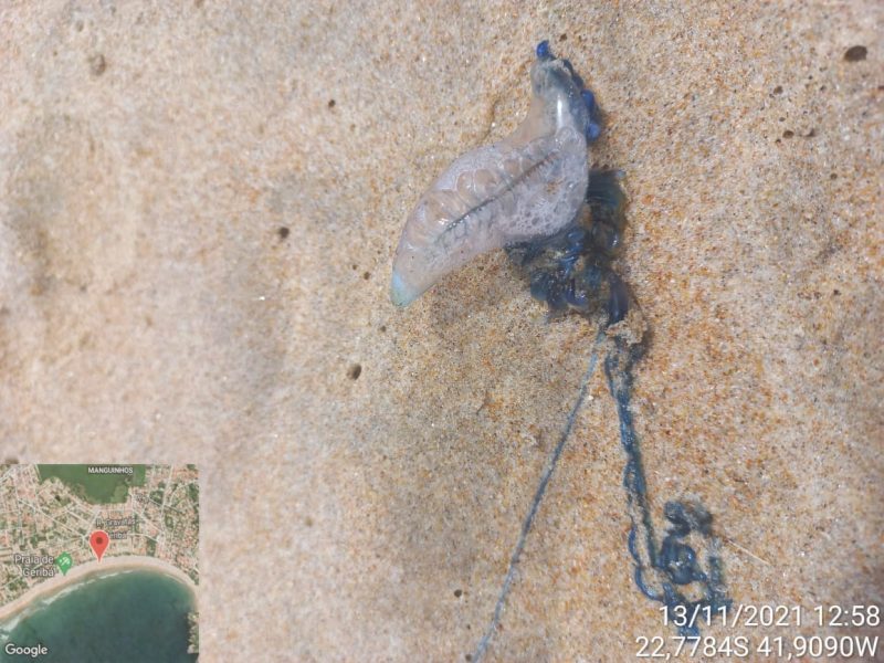 WhatsApp Image 2021-11-13 at 14.02.52