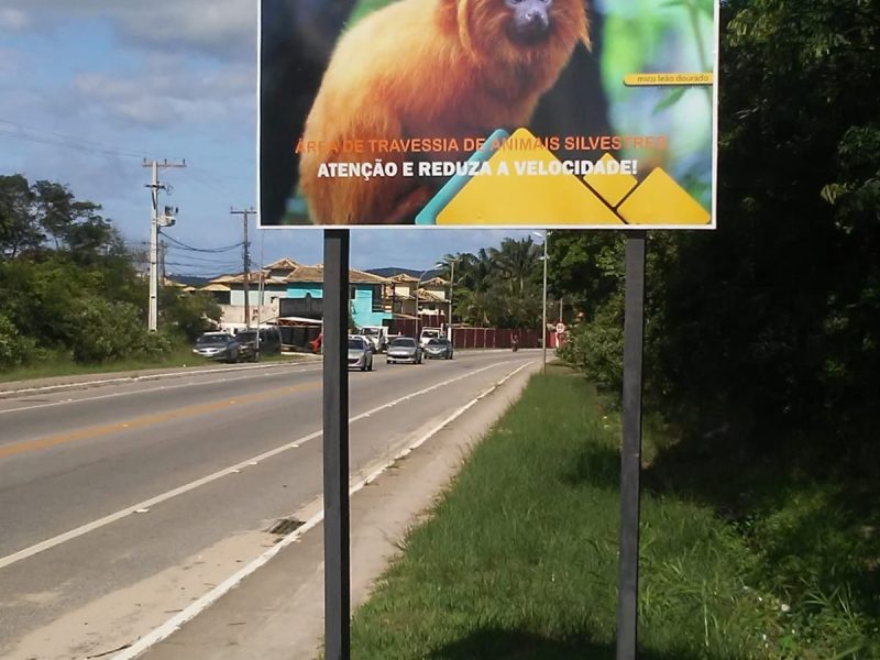 WhatsApp-Image-2021-12-23-at-11.56.40