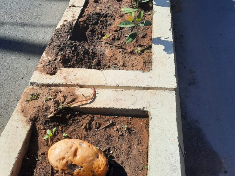 WhatsApp Image 2022-06-24 at 11.13.05