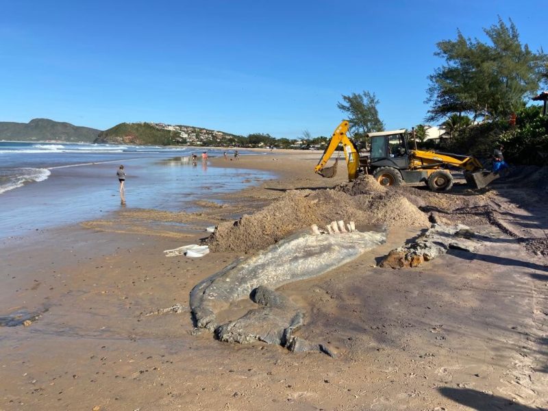 WhatsApp Image 2022-06-28 at 09.30.19