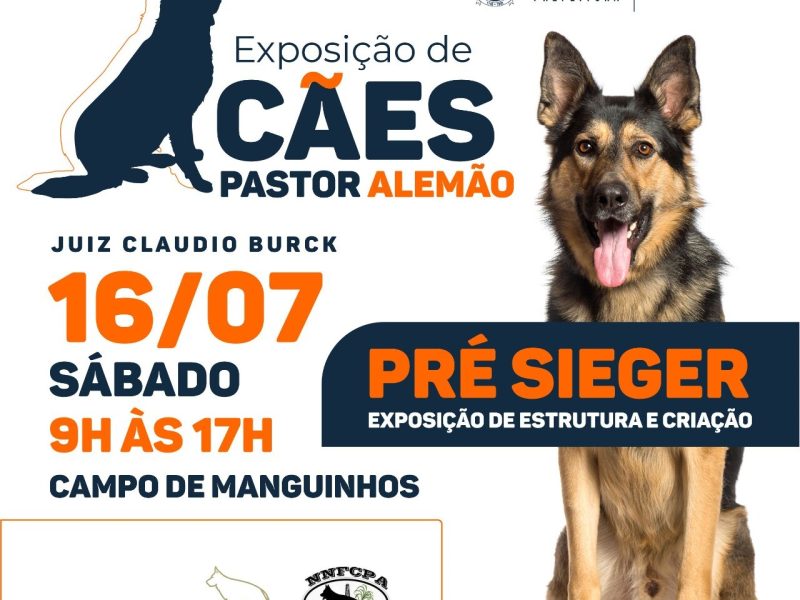 WhatsApp Image 2022-07-13 at 10.11.04