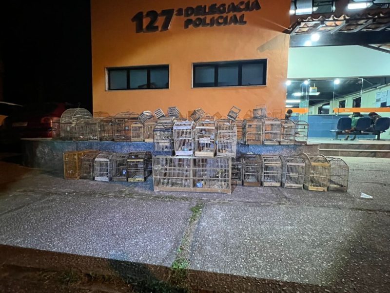 WhatsApp Image 2022-07-23 at 10.31.20