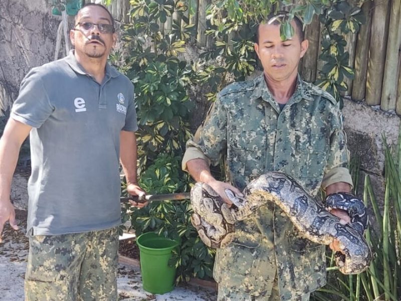 WhatsApp Image 2022-07-27 at 13.05.05