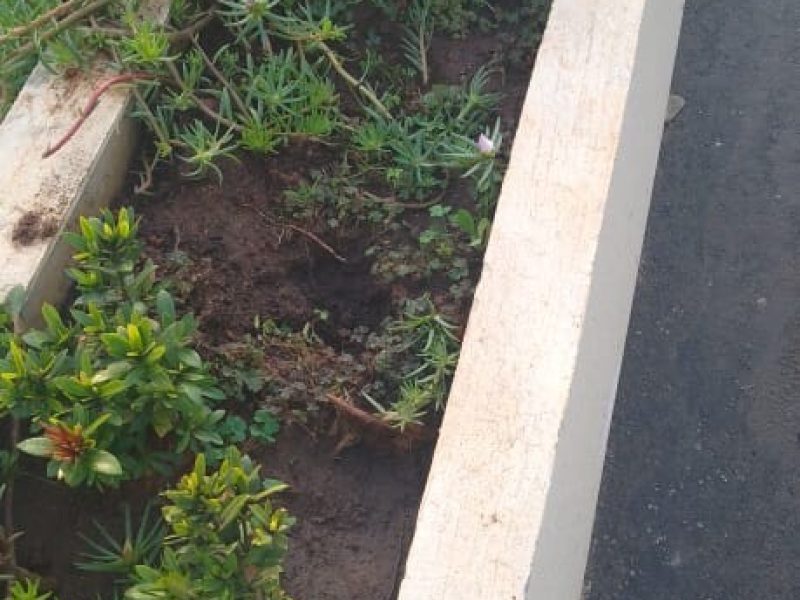 WhatsApp Image 2022-07-28 at 15.47.59 (1)