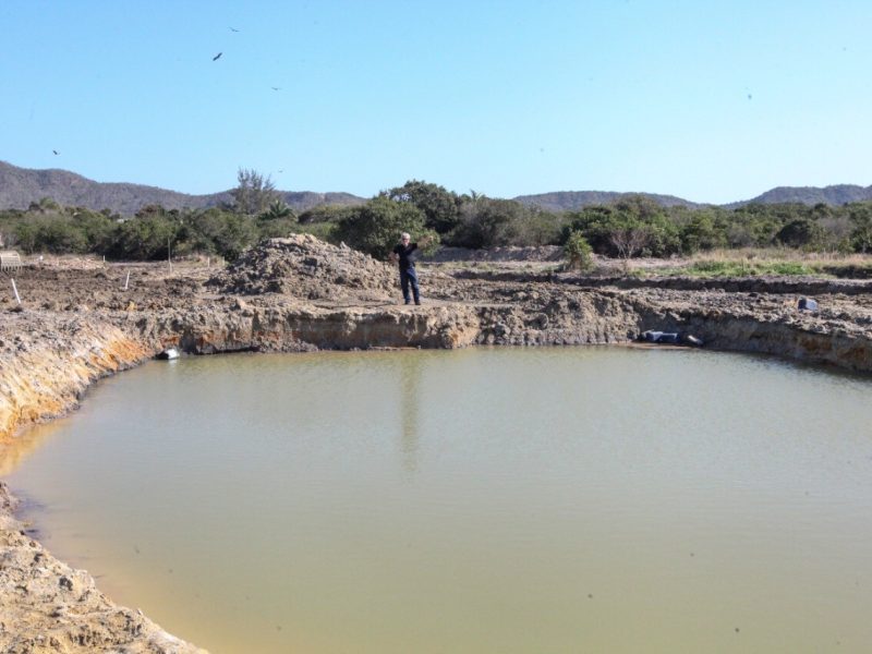 WhatsApp Image 2022-08-03 at 13.42.42